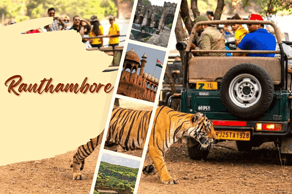 Jaipur and Ranthambore Tour Package