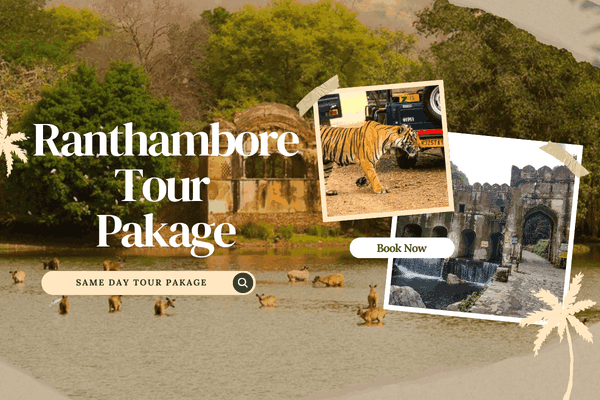 Jaipur And Ranthambore Tour